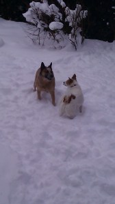 Jack playing with his cousin, Noki